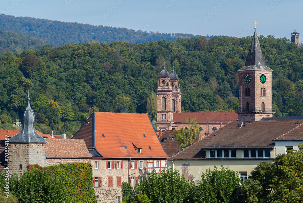 Eberbach (Baden), Odenwald / Ansicht Altstadt