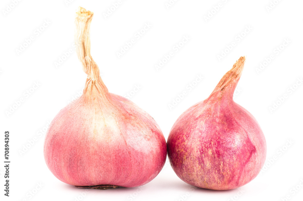 Fototapeta premium Fresh shallot