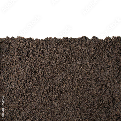 Soil section texture isolated on white