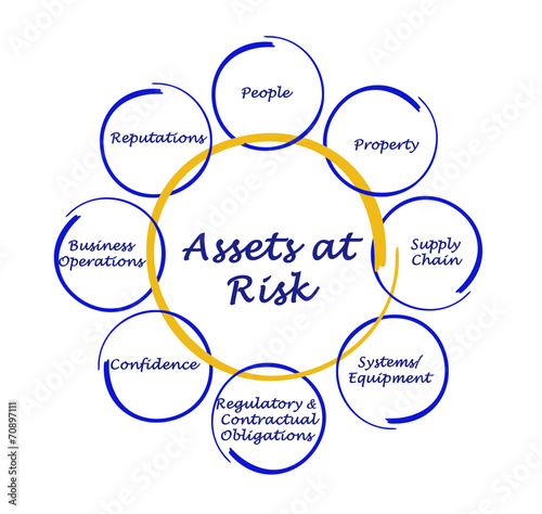 Assets at Risk