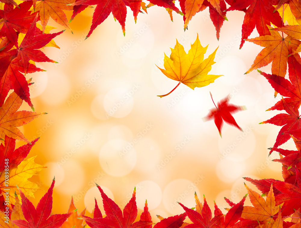 Herbstfarben als Hintergrund Herbstfarben als Hintergrund