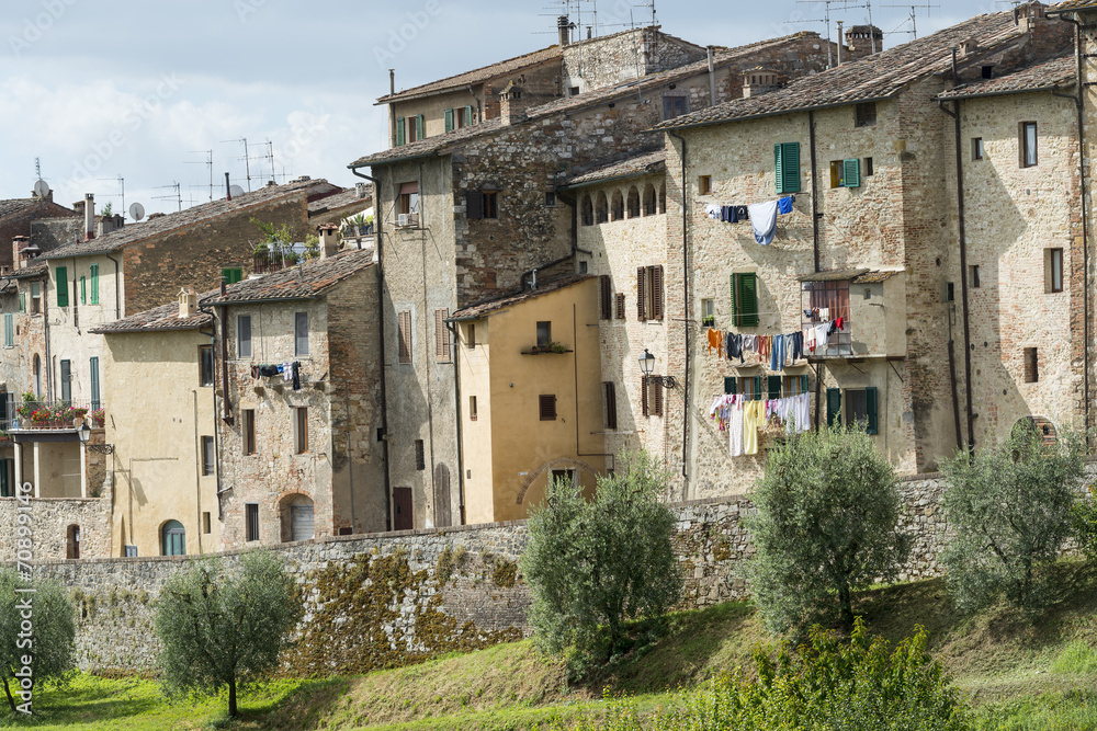 Colle di Val d'Elsa (Tuscany)