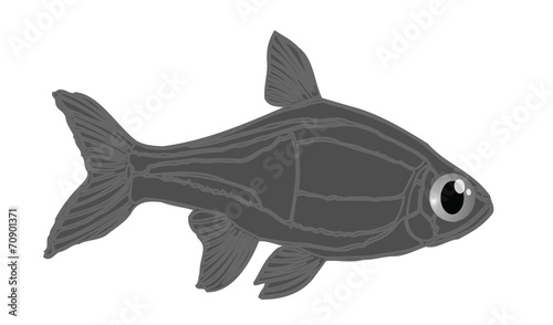 Black fish cartoon