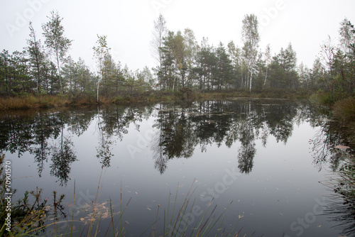 Autumn lake with reflections of trees
