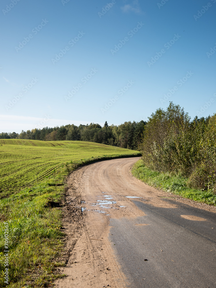 beautiful freshly cultivated green crop field beautiful freshly cultivated green crop field