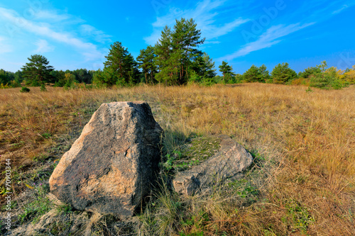 old stone on meadow