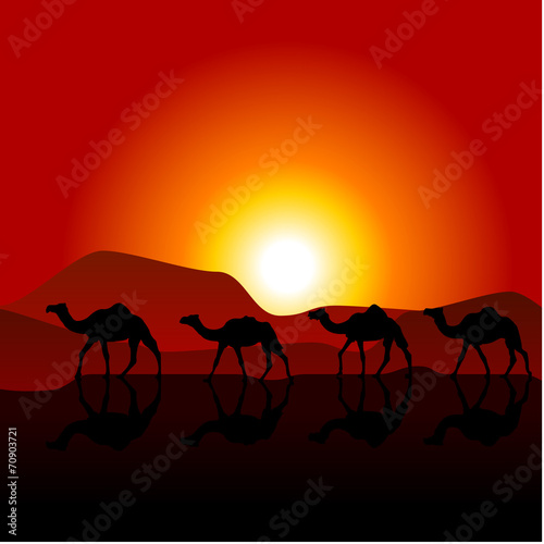 Silhouettes of caravan of camels on desert sunset
