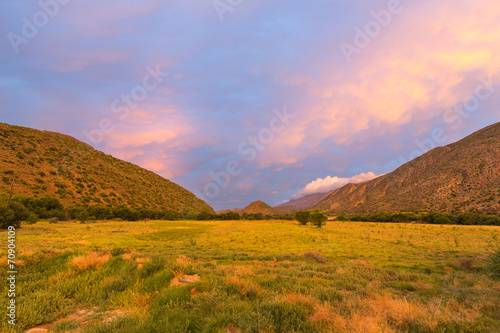 Driefontein Sunset