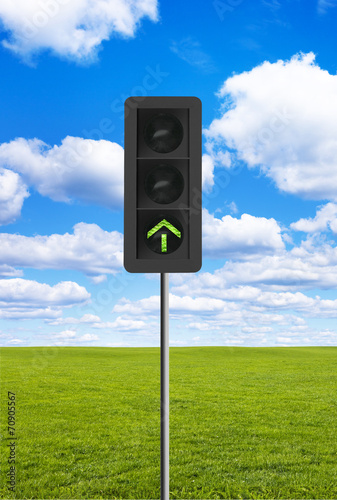 Grüne Ampel auf Wiese