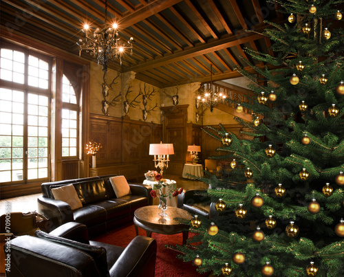 Weihnachtsbaum im Jagdschloss