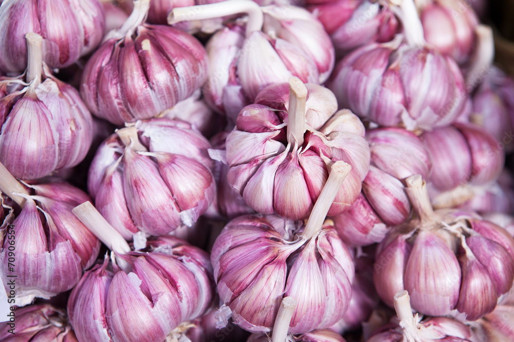 Garlics at Market