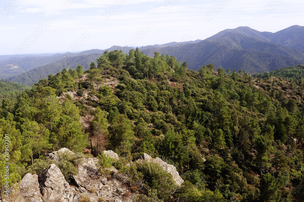 Nature in the mountains of the Cevennes Nature in the mountains of the Cevennes