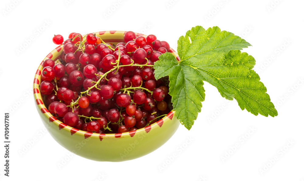 Red currant Red currant