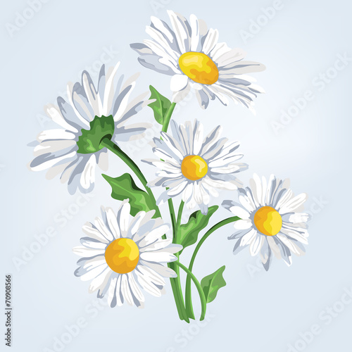 Bouquet camomile. Greeting card with flowers in pastel colors.Ca © j_bunina