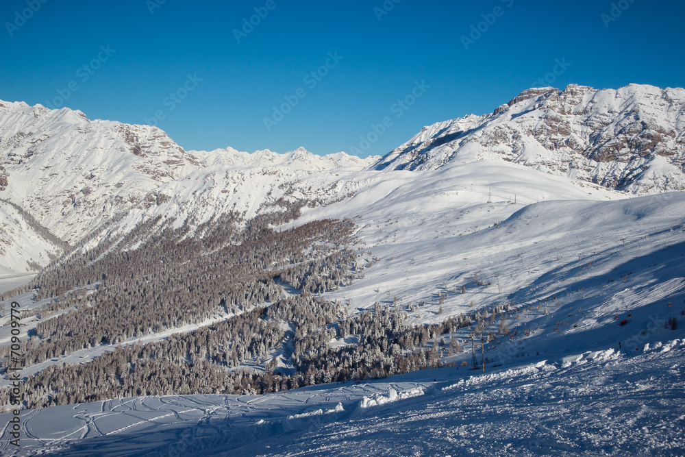 Fototapeta premium winter in Alps