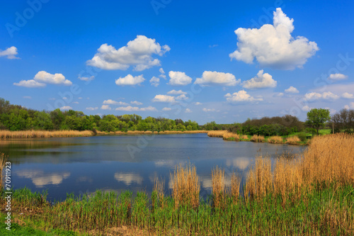 summer on lake