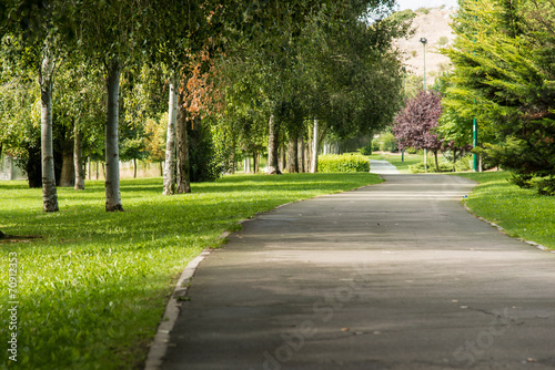 Fototapeta Naklejka Na Ścianę i Meble -  park