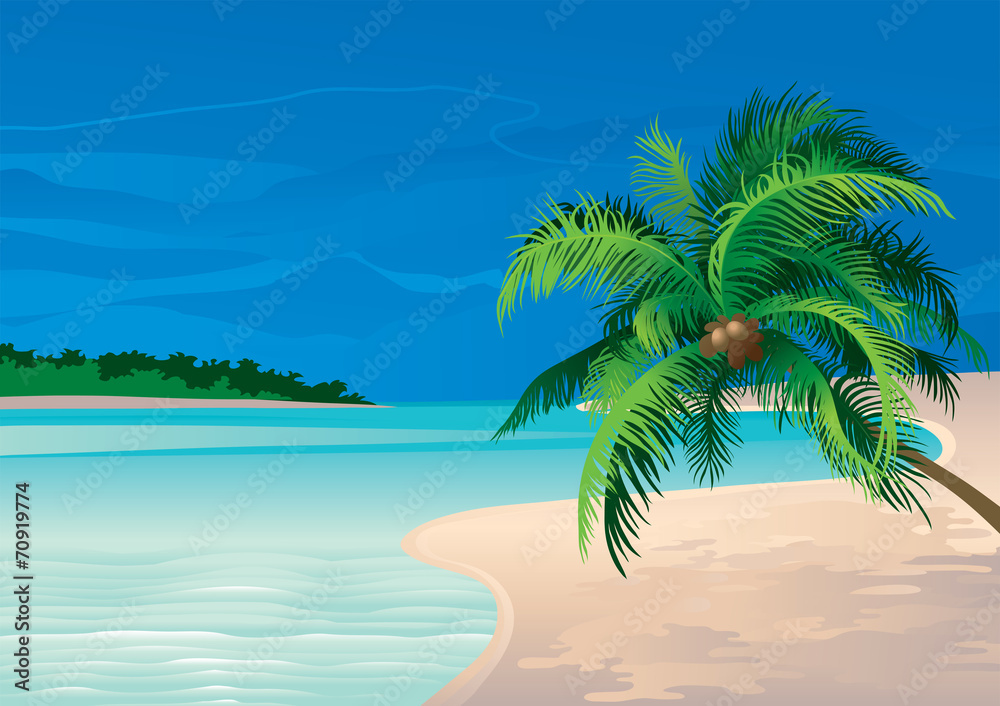 Vector illustration of coconut palm tree on a beach Stock Vector ...