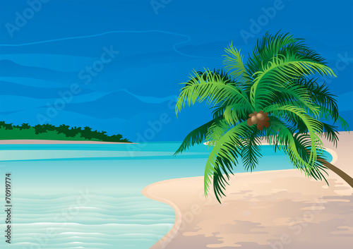 Vector illustration  of coconut palm tree on a beach