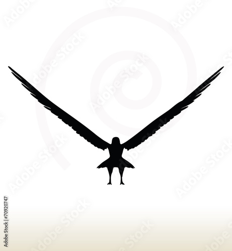 eagle silhouette