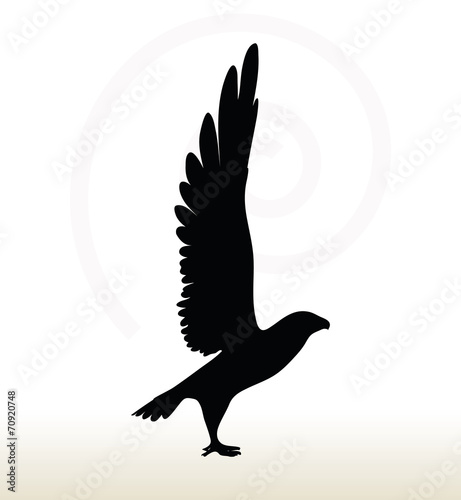 eagle silhouette