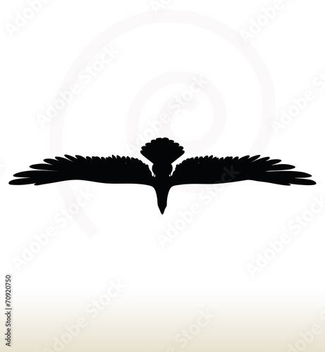eagle silhouette
