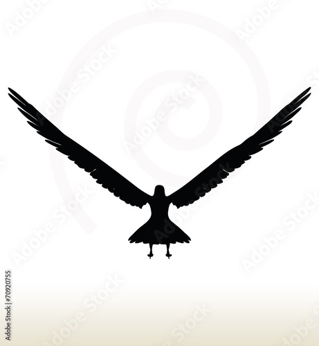 eagle silhouette