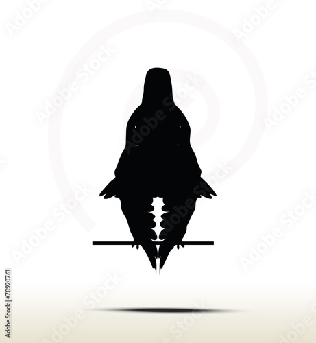 eagle silhouette