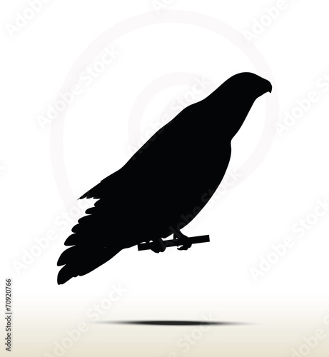 eagle silhouette