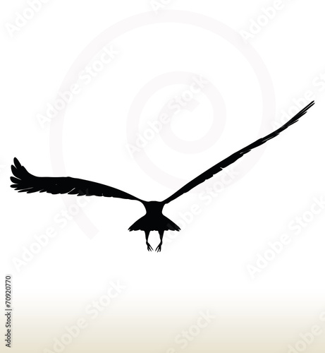 eagle silhouette