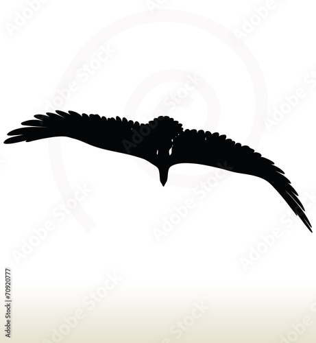eagle silhouette