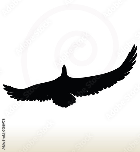 eagle silhouette