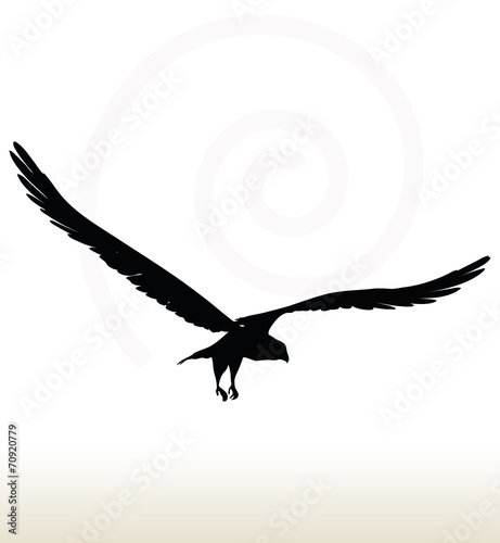 eagle silhouette