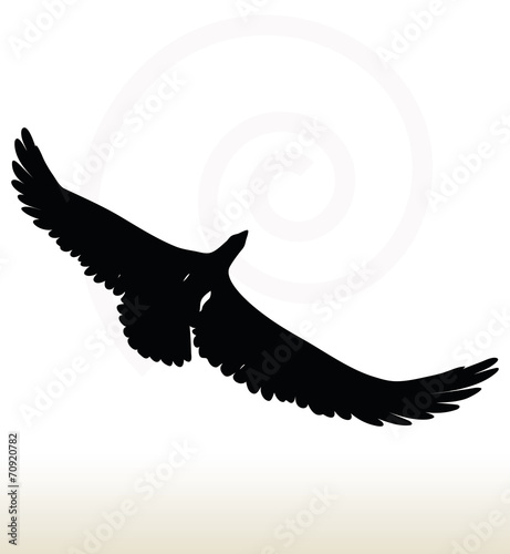 eagle silhouette