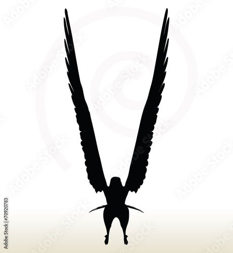 eagle silhouette