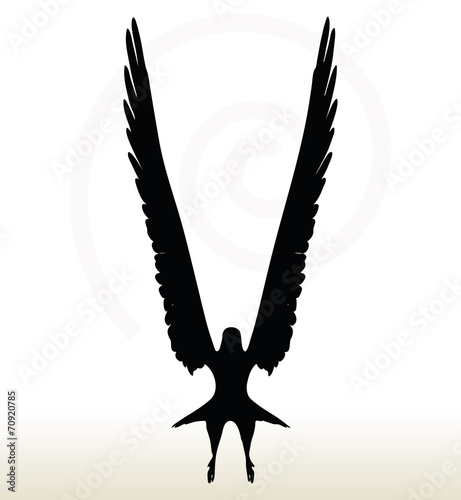eagle silhouette