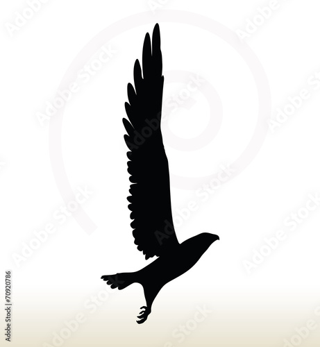 eagle silhouette