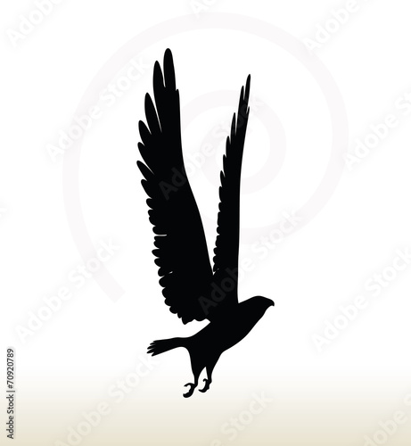 eagle silhouette