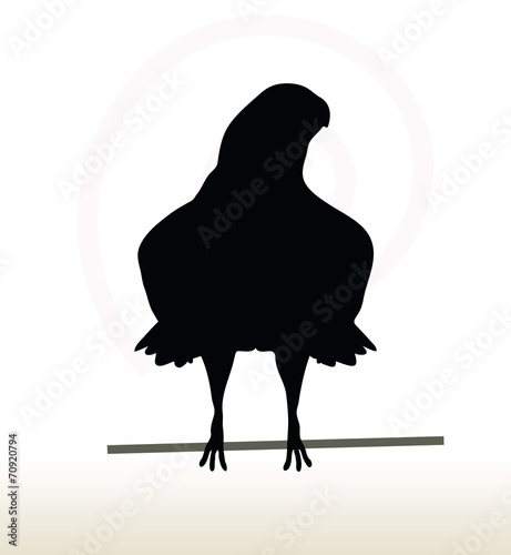 eagle silhouette