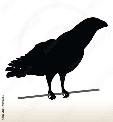 eagle silhouette