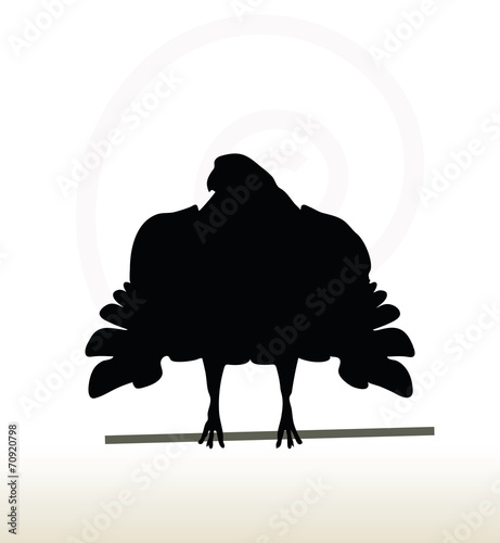 eagle silhouette