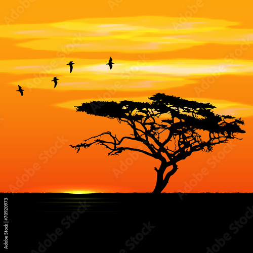 Sunset tree and birds silhouettes