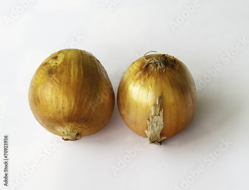 Onions photo