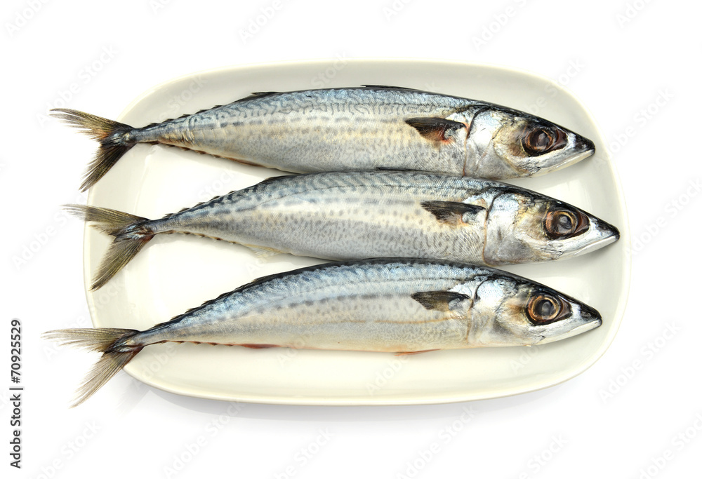 Fresh fish Mackerel, tuna, saba, in white plate Fresh fish Mackerel, tuna, saba, in white plate