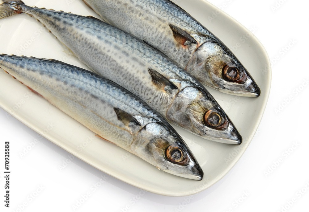 Fresh fish Mackerel, tuna, saba, in white plate Fresh fish Mackerel, tuna, saba, in white plate