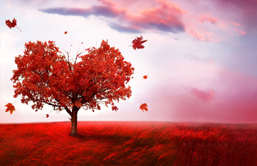 Sierkussen Foto van de dag Herfstlandschap met hartvormige boom  © Lilya