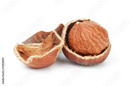 organic hazelknuts with kernel