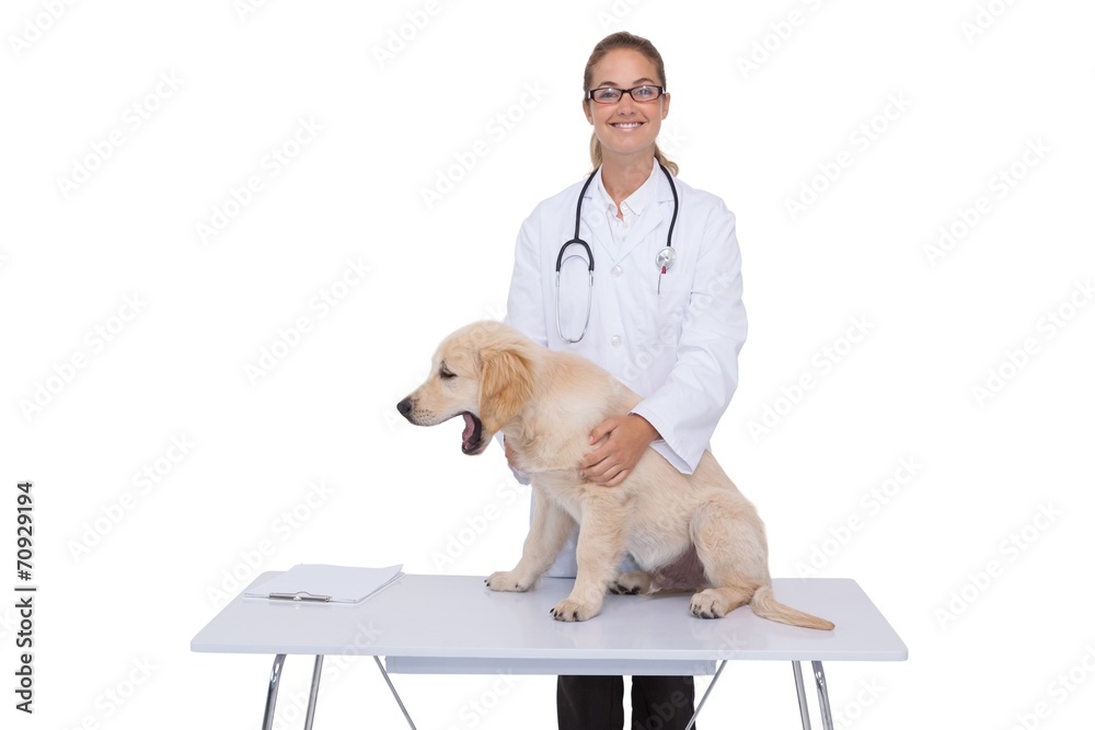 Smiling vet checking a puppy