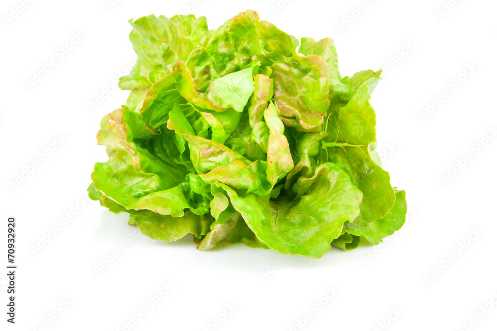 Lettuce beam Lettuce beam