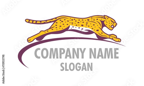 Run Cheetah Logo